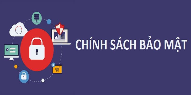Tình huống vi phạm điều khoản sẽ bị xử lý ngay lập tức