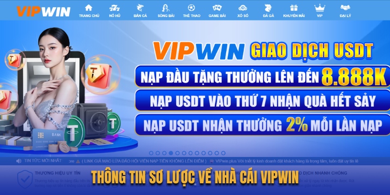 thong-tin-so-luoc-ve-nha-cai-vipwin
